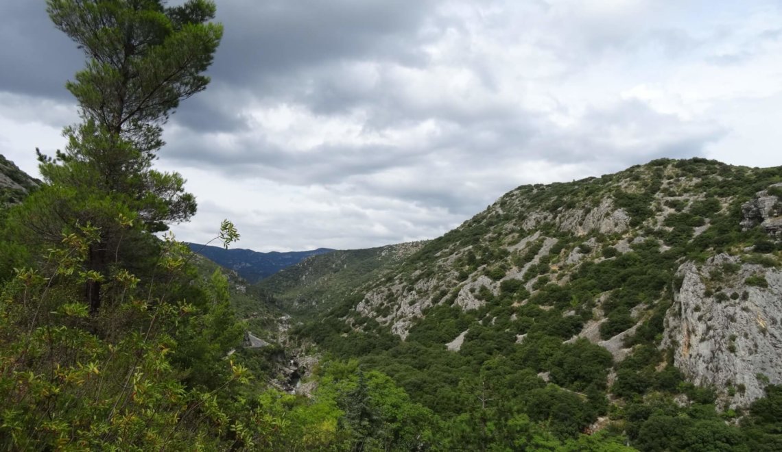 Causses en Cevennes