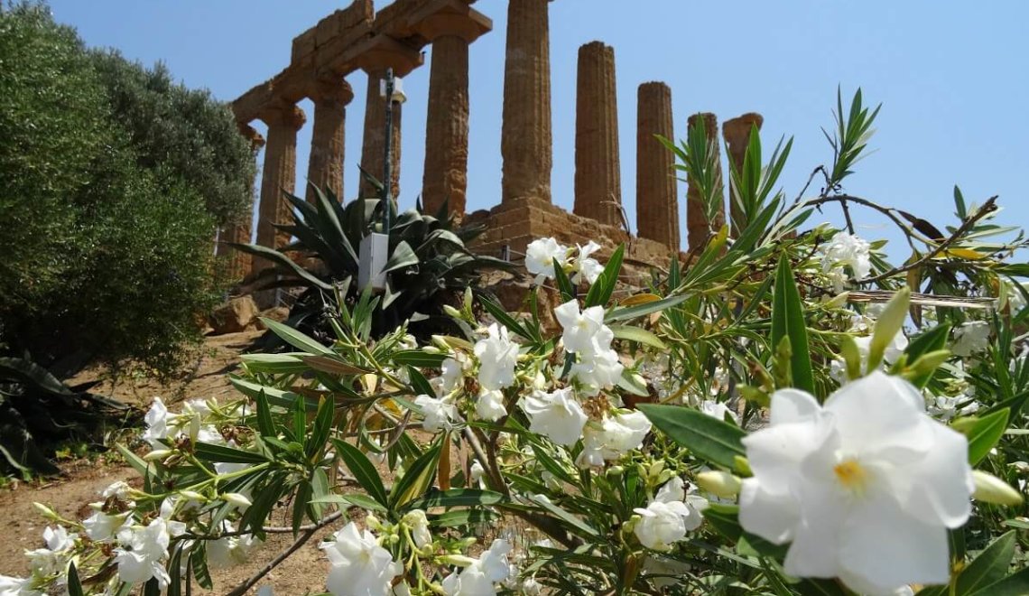 Oude tempel in Agrigento